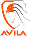 Logo Avila Ribs